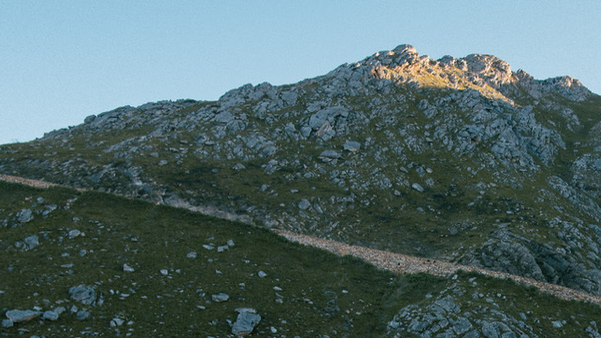 Image Title Image Title