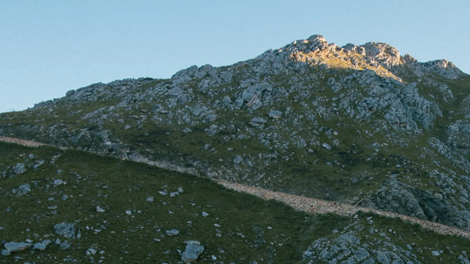 Image Title Image Title