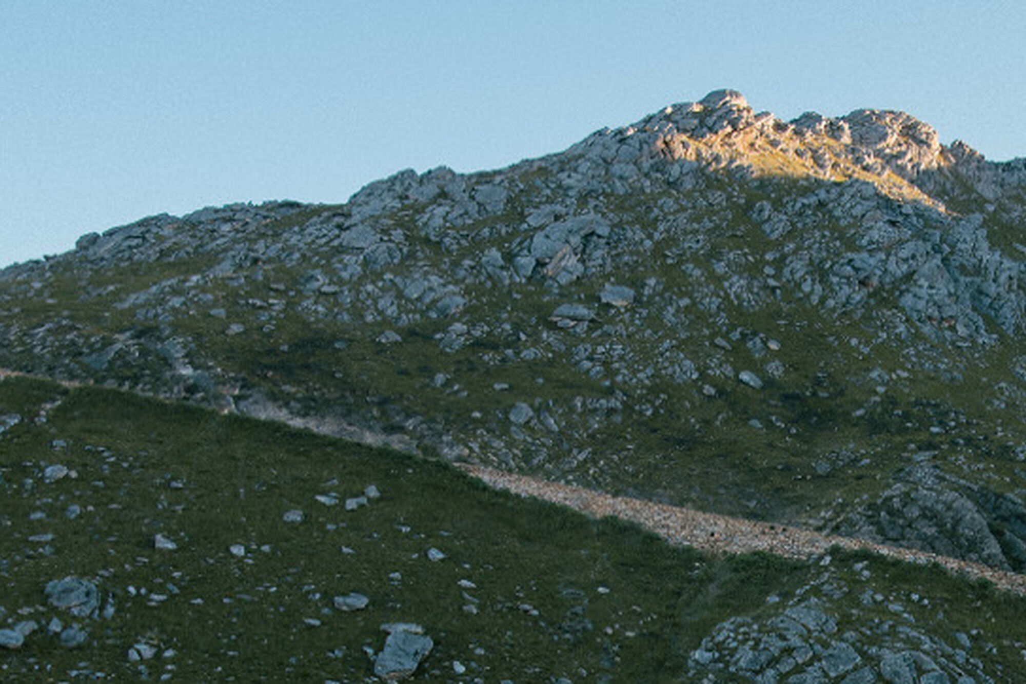 Image Title Image Title