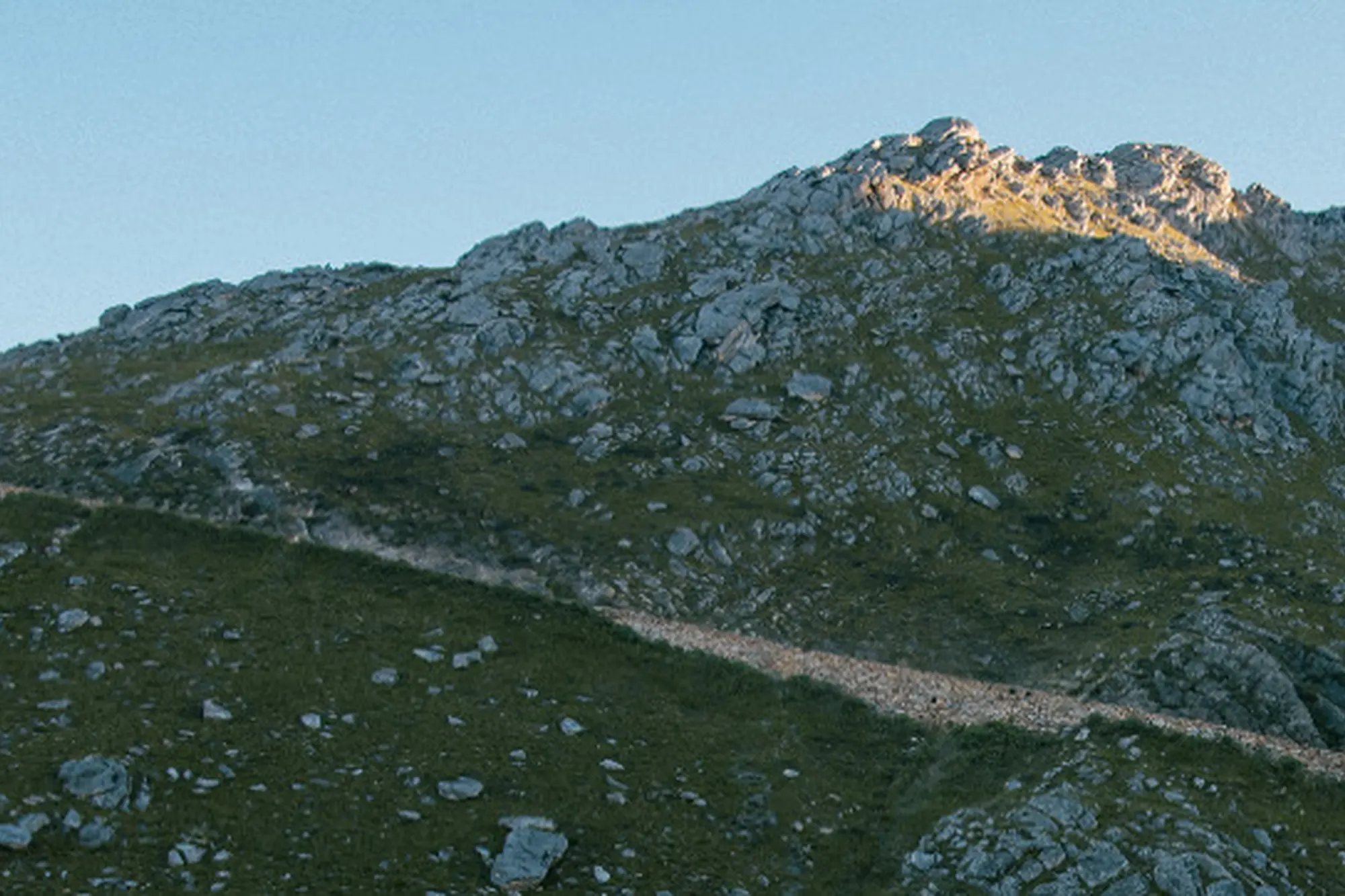 Image Title Image Title