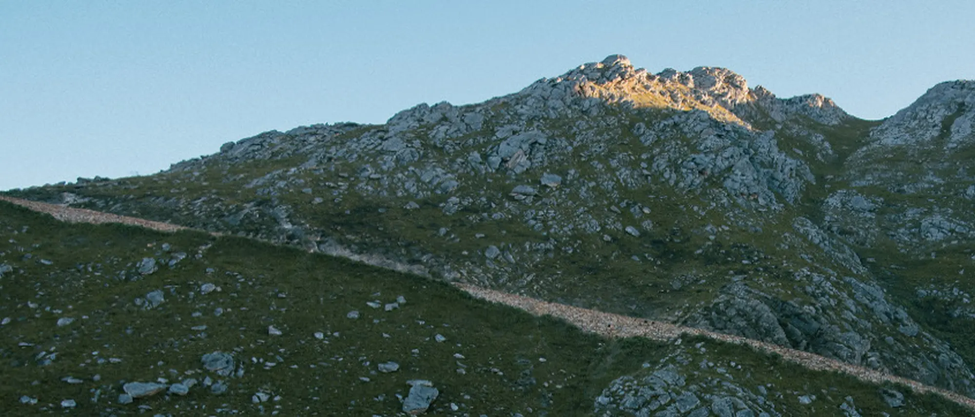 Image Title Image Title