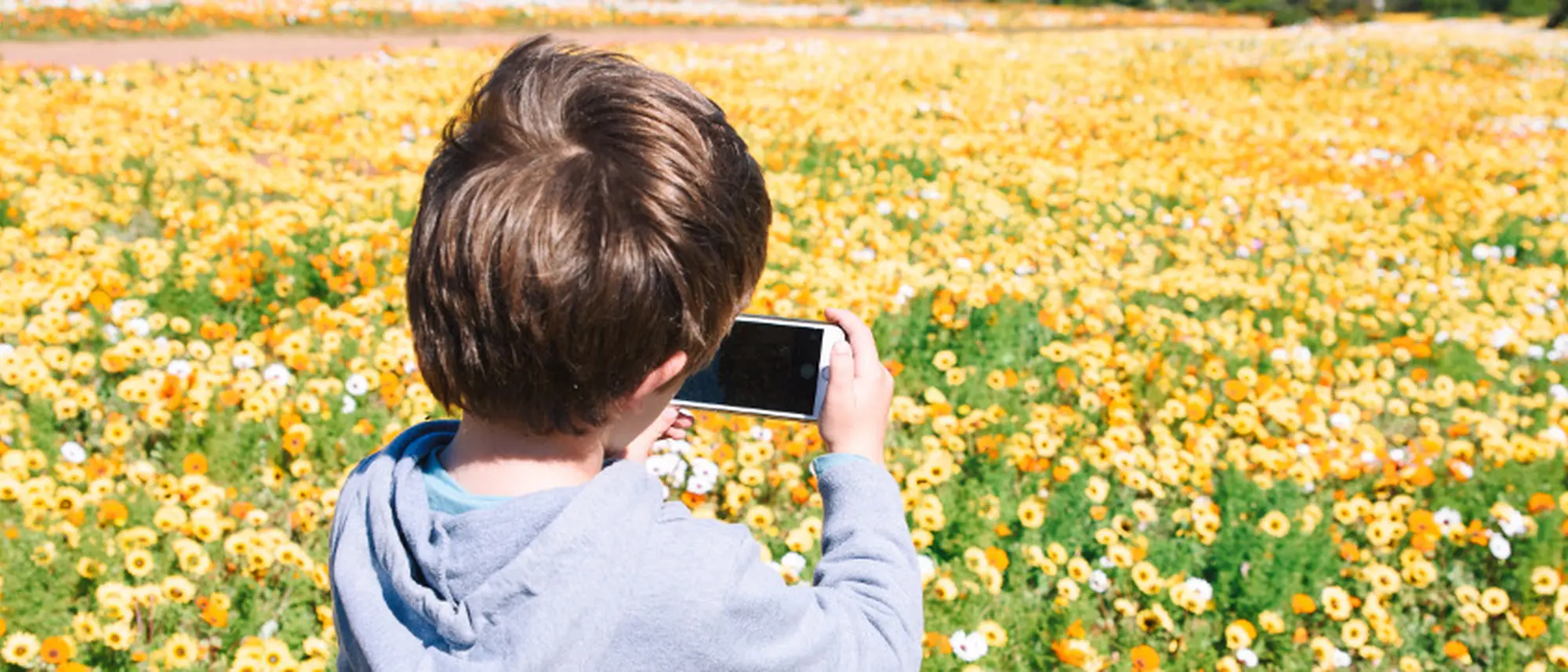 Image Title Image Title