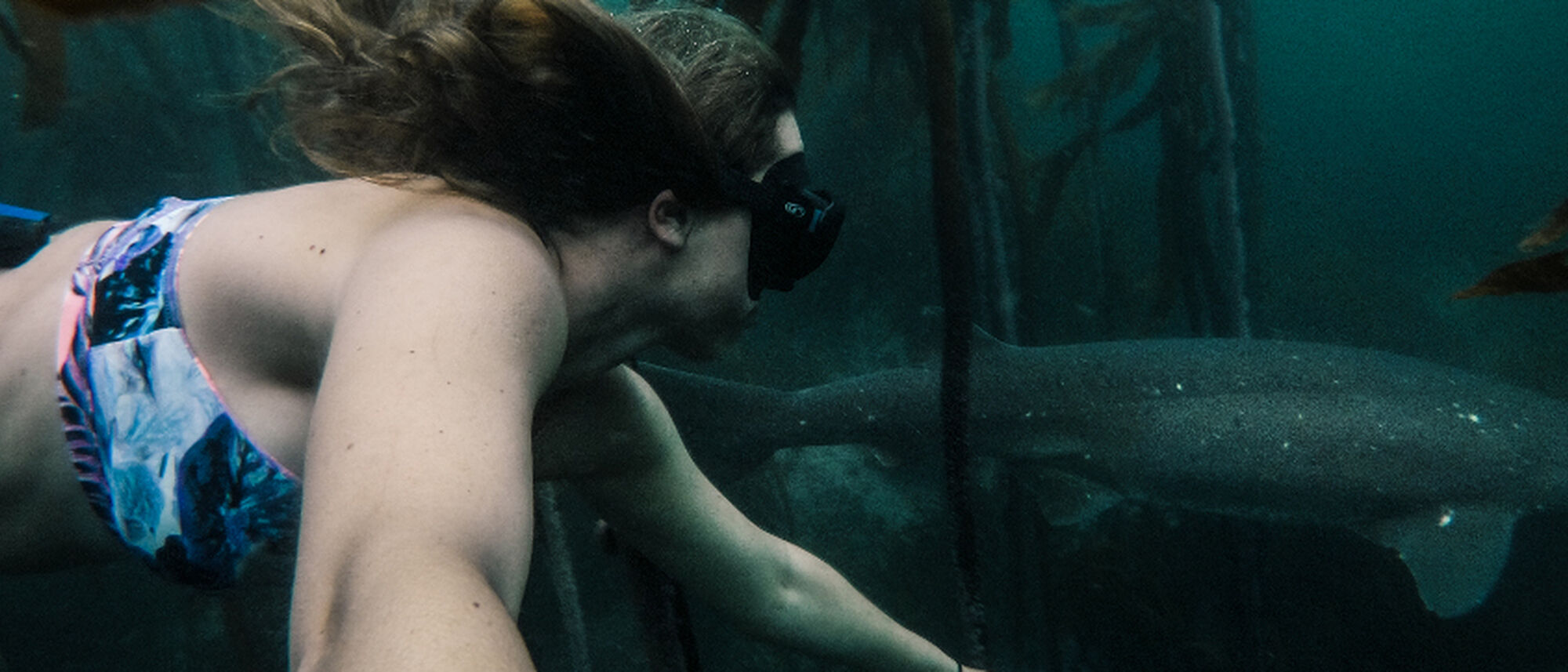 Image Title Image Title