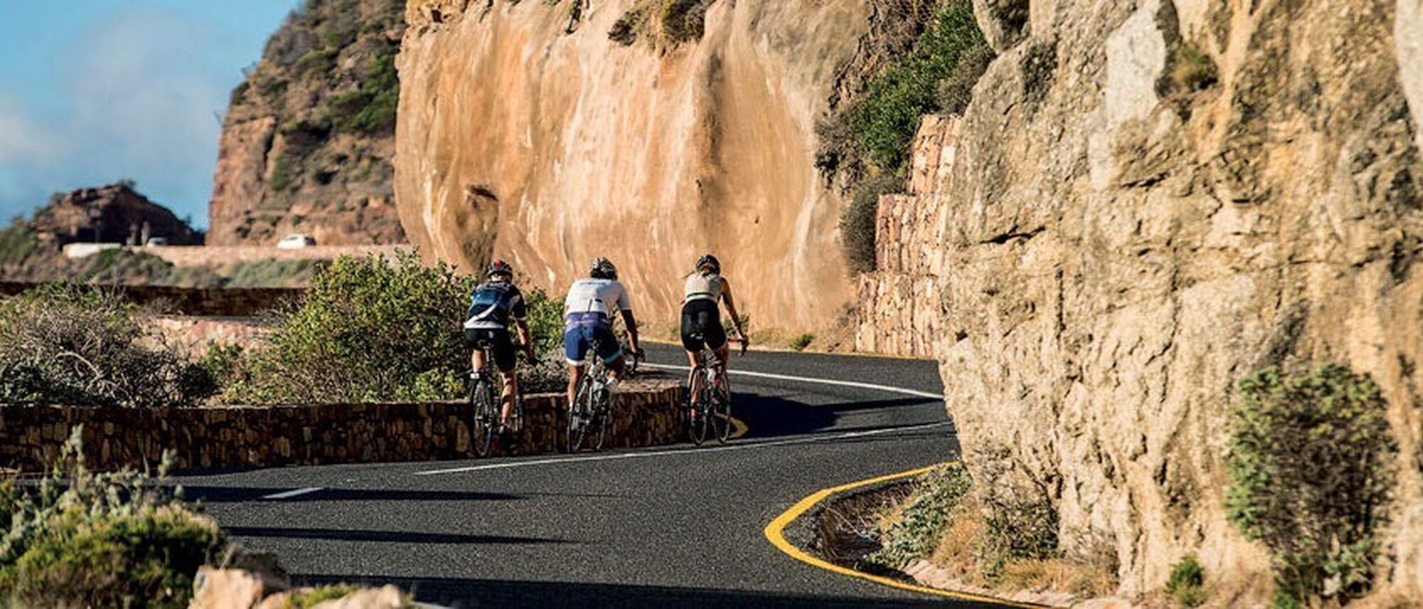 Image Title Image Title