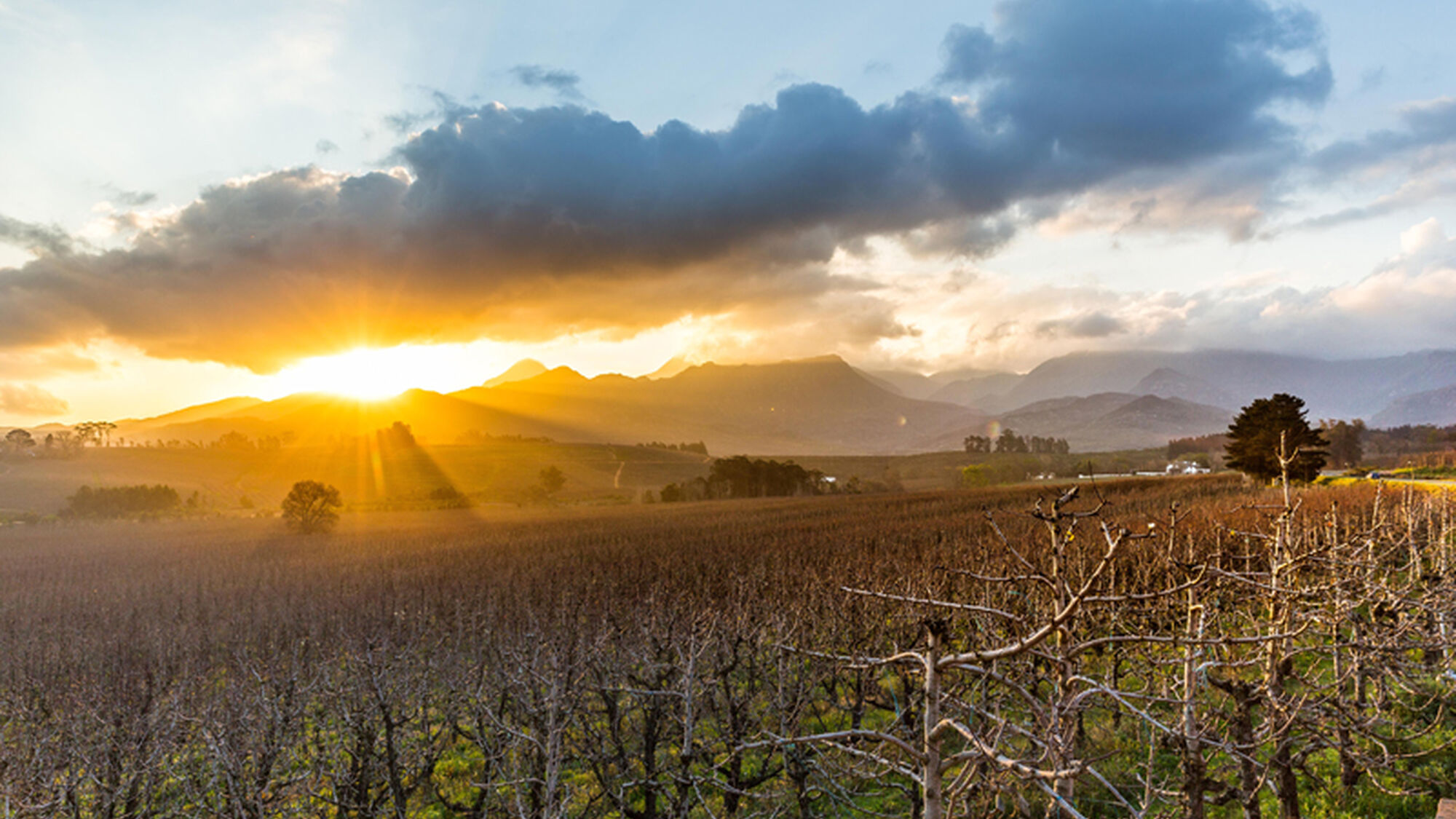 Image Title Image Title