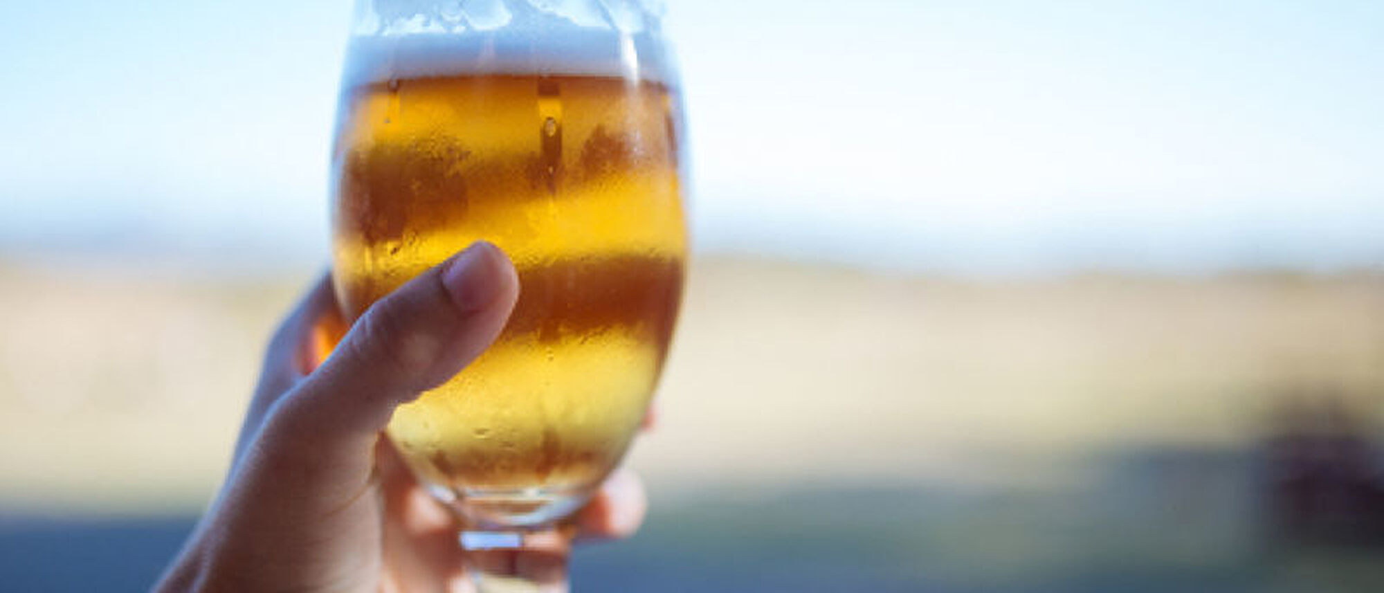 Image Title Image Title