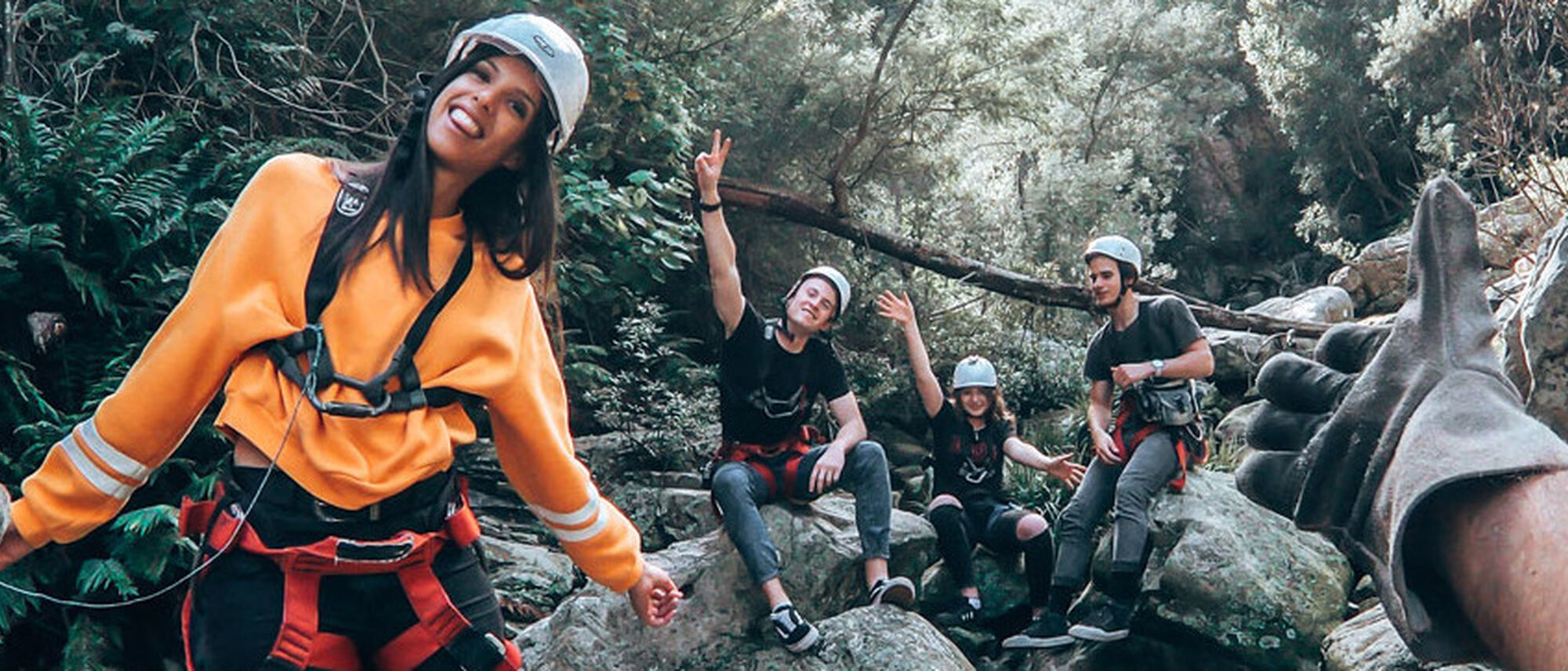 Image Title Image Title