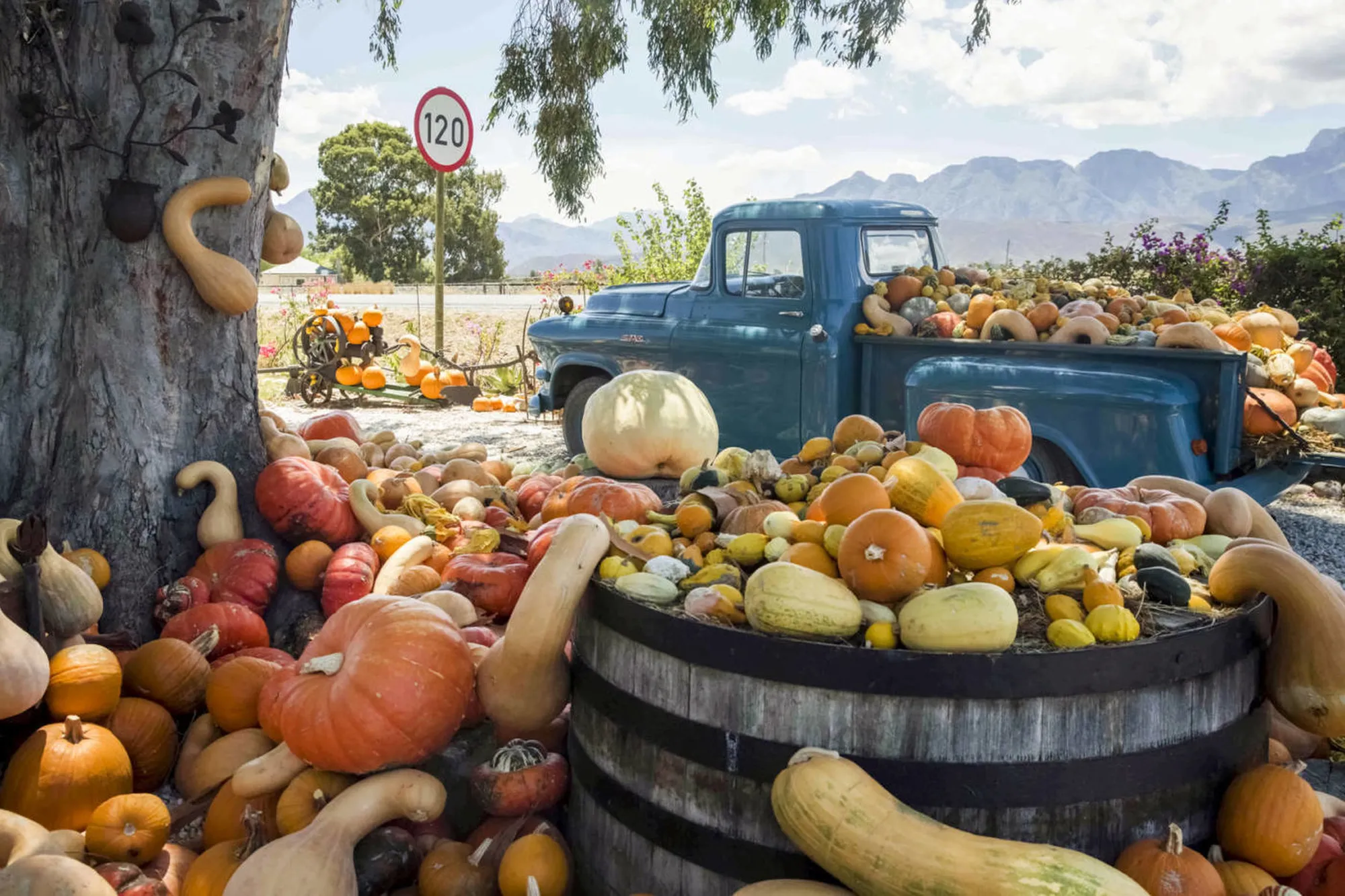 Image Title Image Title