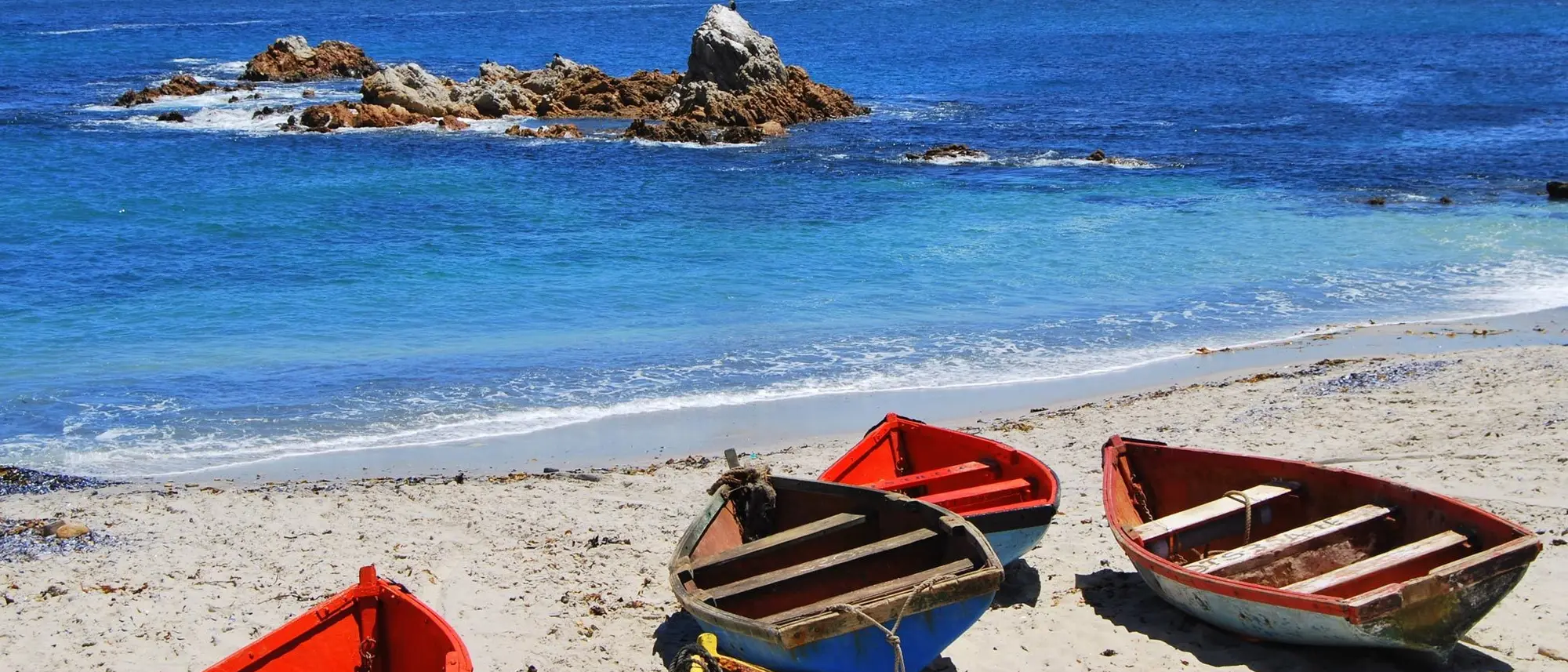 Image Title Image Title