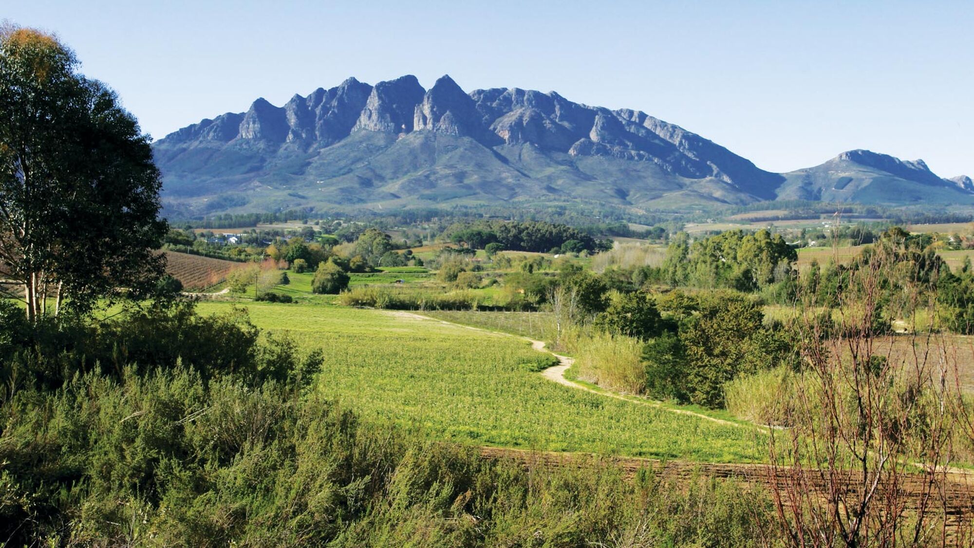 Image Title Image Title