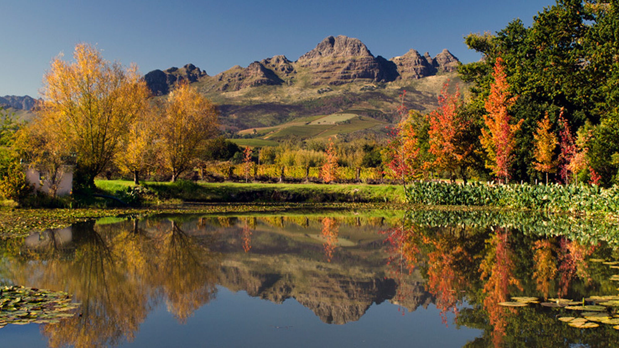 Image Title Image Title