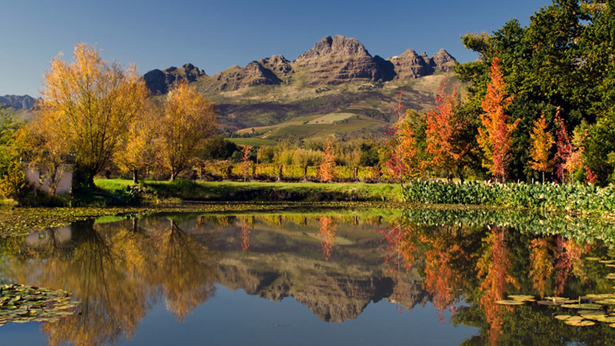 Image Title Image Title