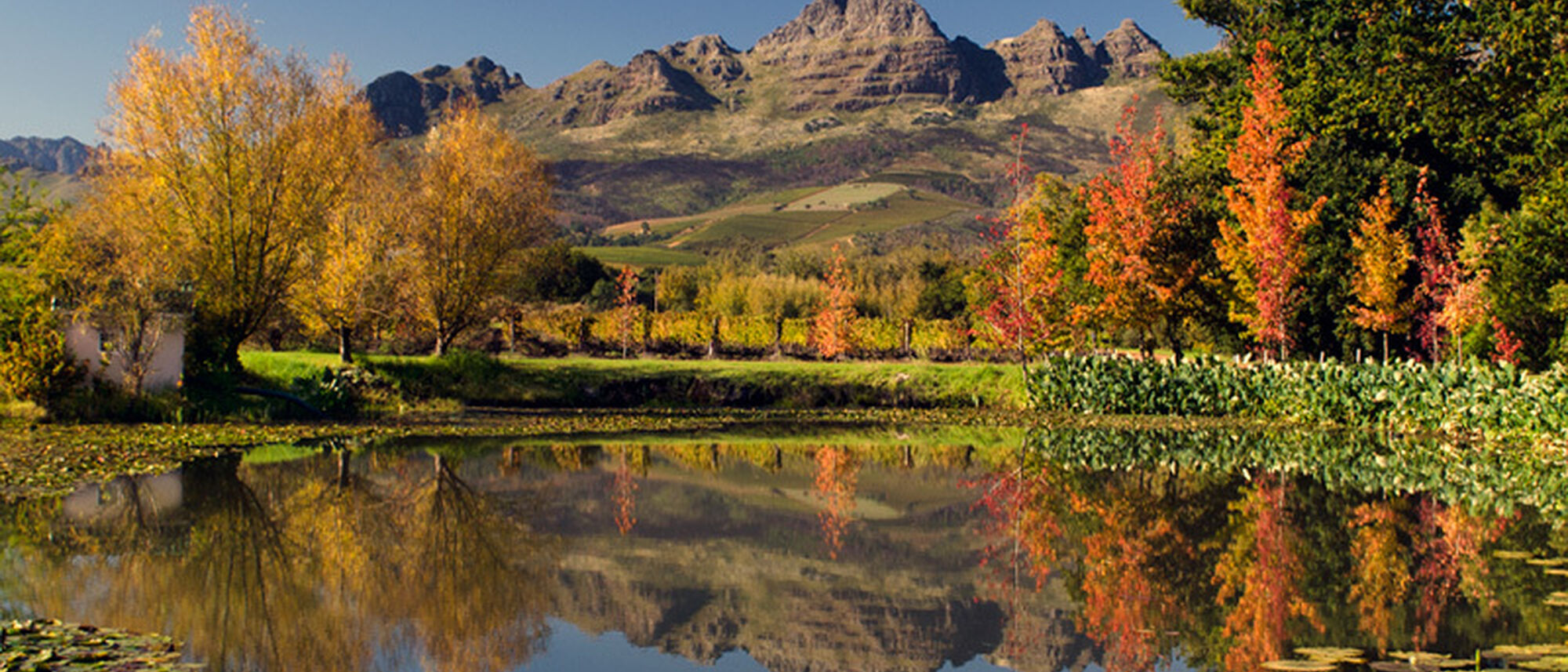 Image Title Image Title