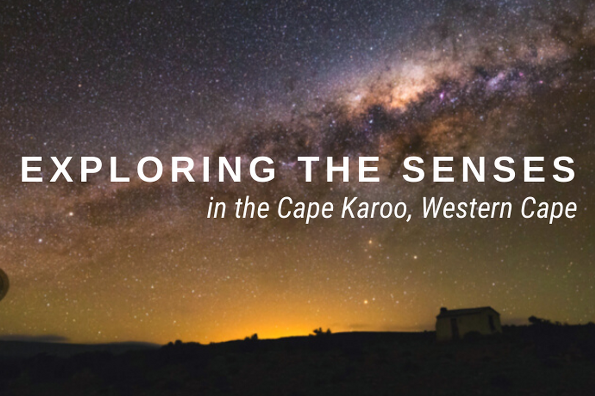 Image Title Image Title