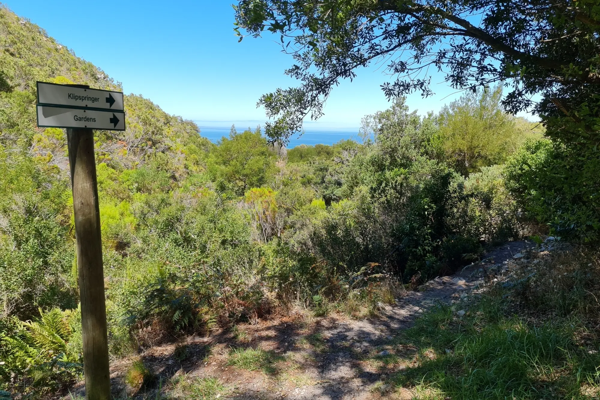 Image Title Image Title