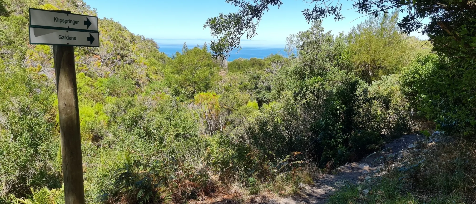 Image Title Image Title