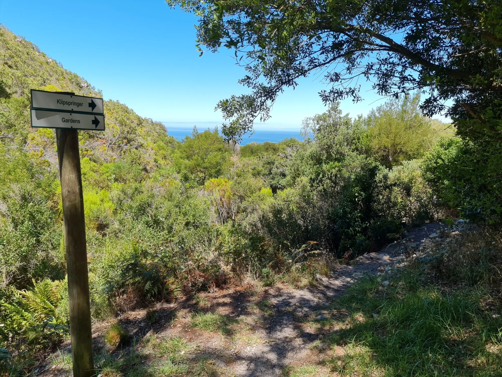 20210303 122911 20210303 122911