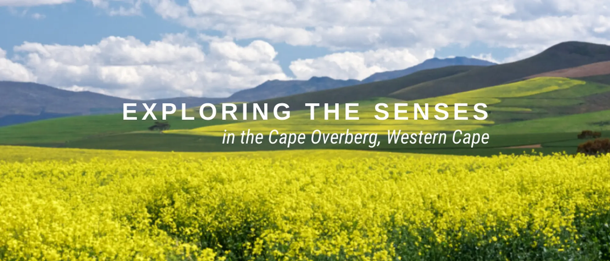 Image Title Image Title