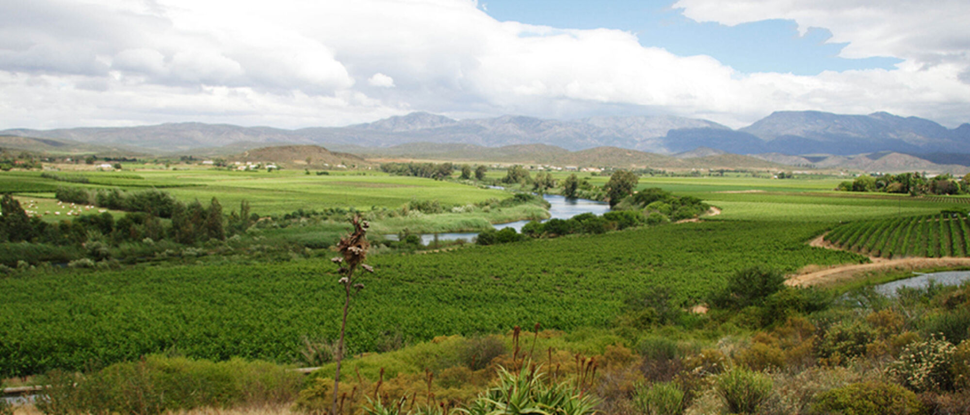 Image Title Image Title