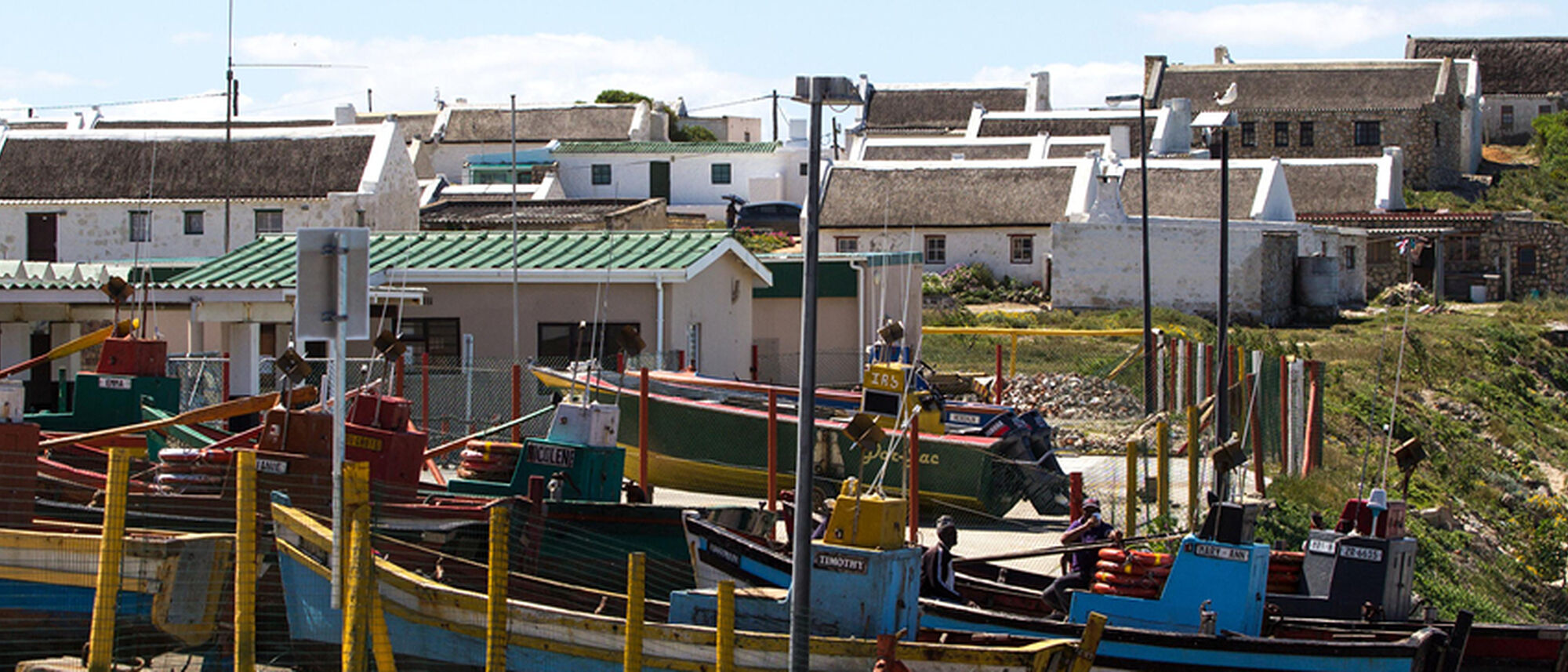 Image Title Image Title