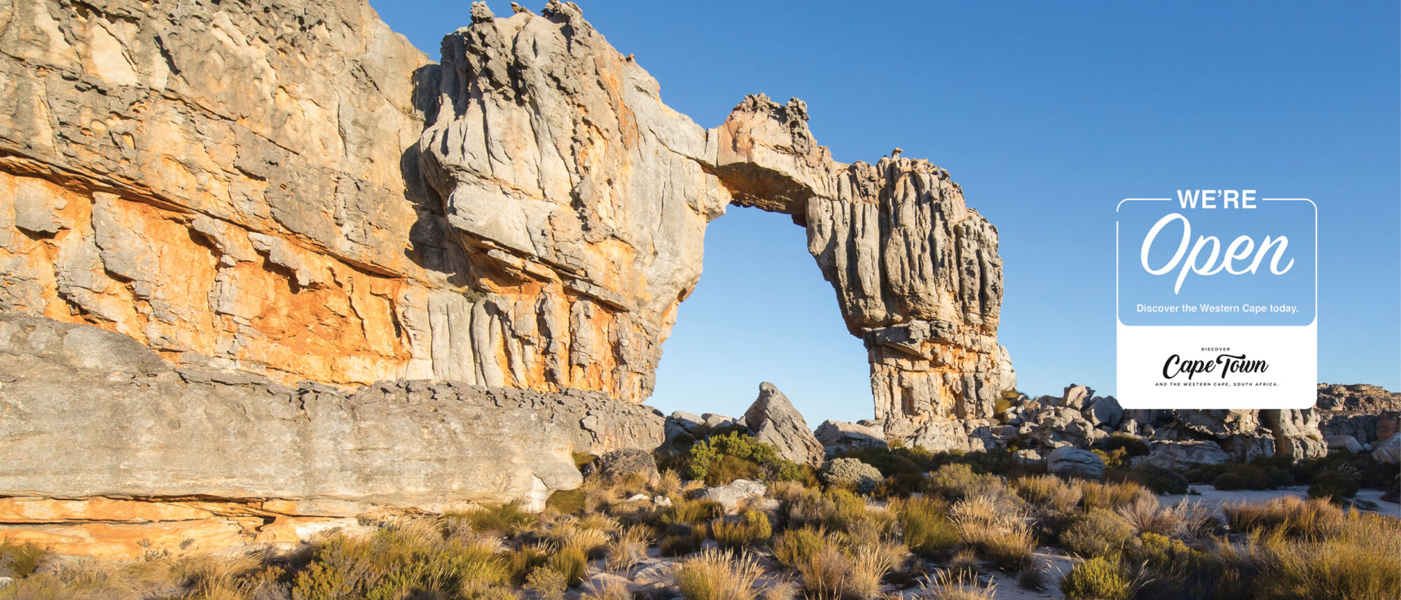 Image Title Image Title