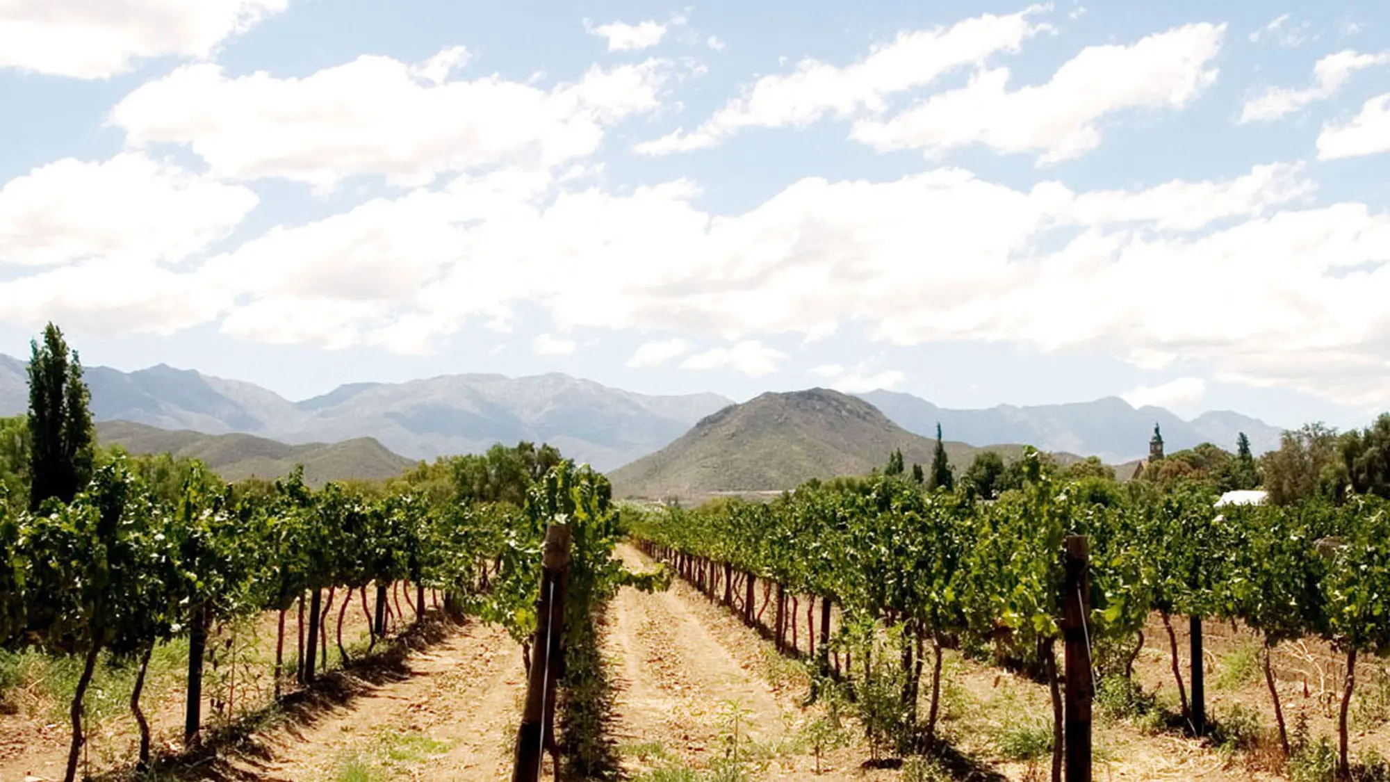 Image Title Image Title