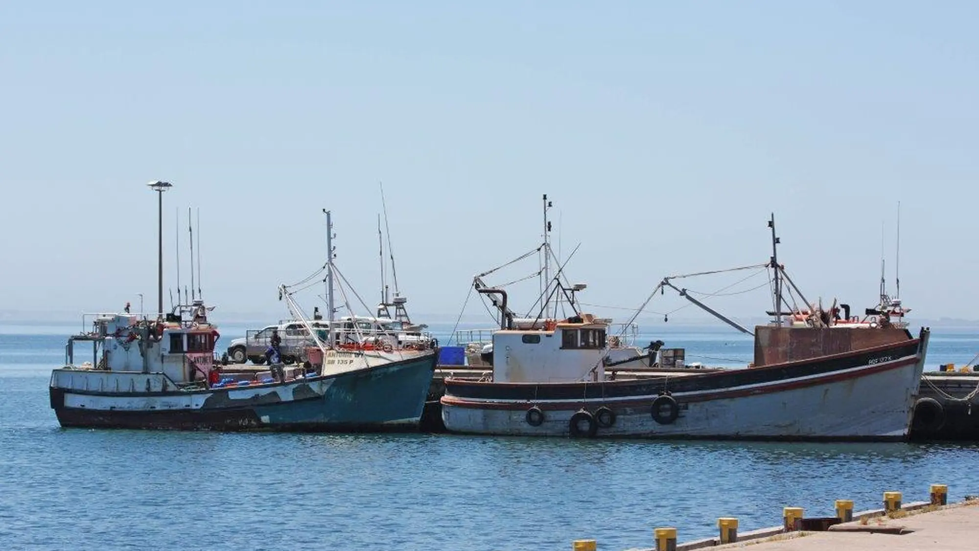 Image Title Image Title