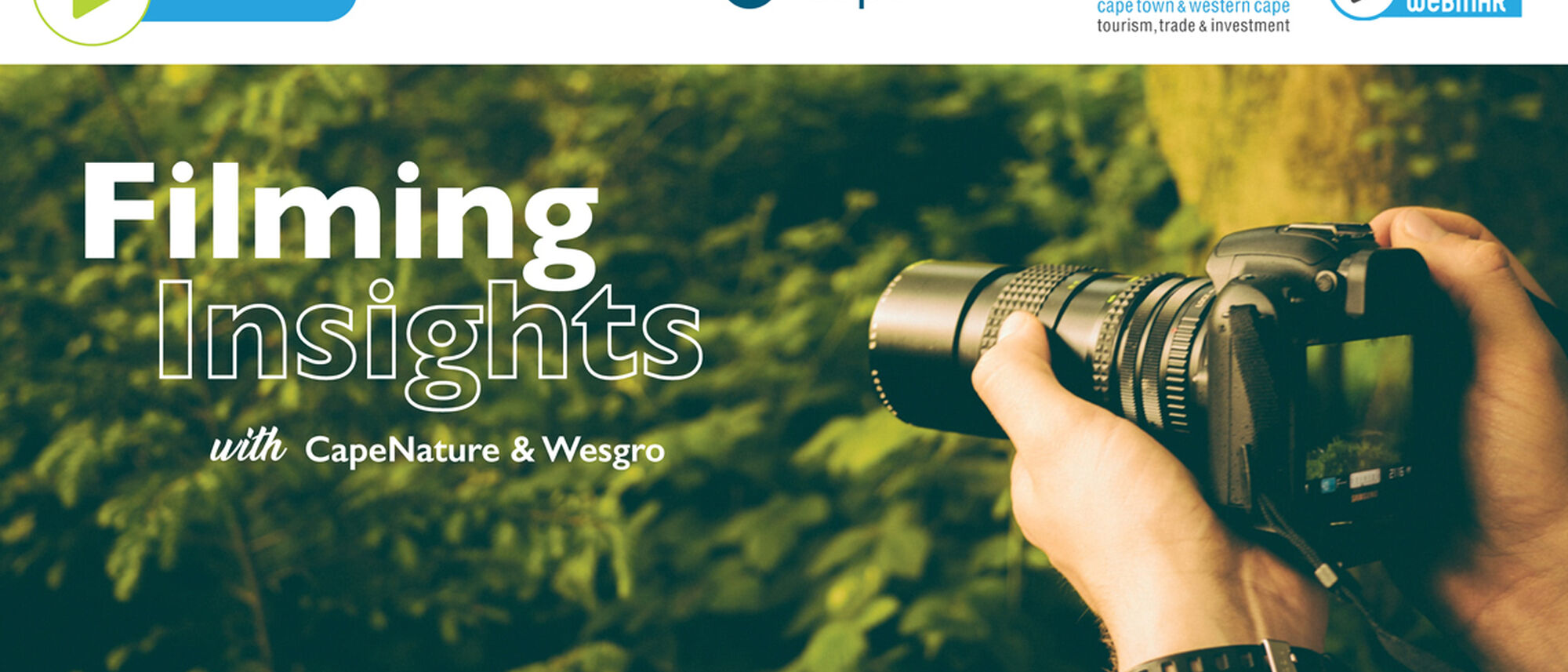 Image Title Image Title