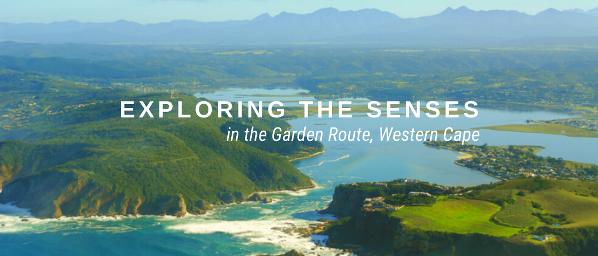 Image Title Image Title