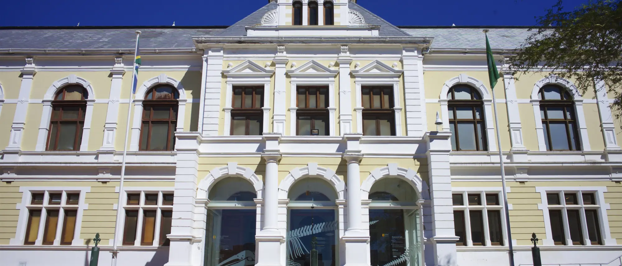 Image Title Image Title