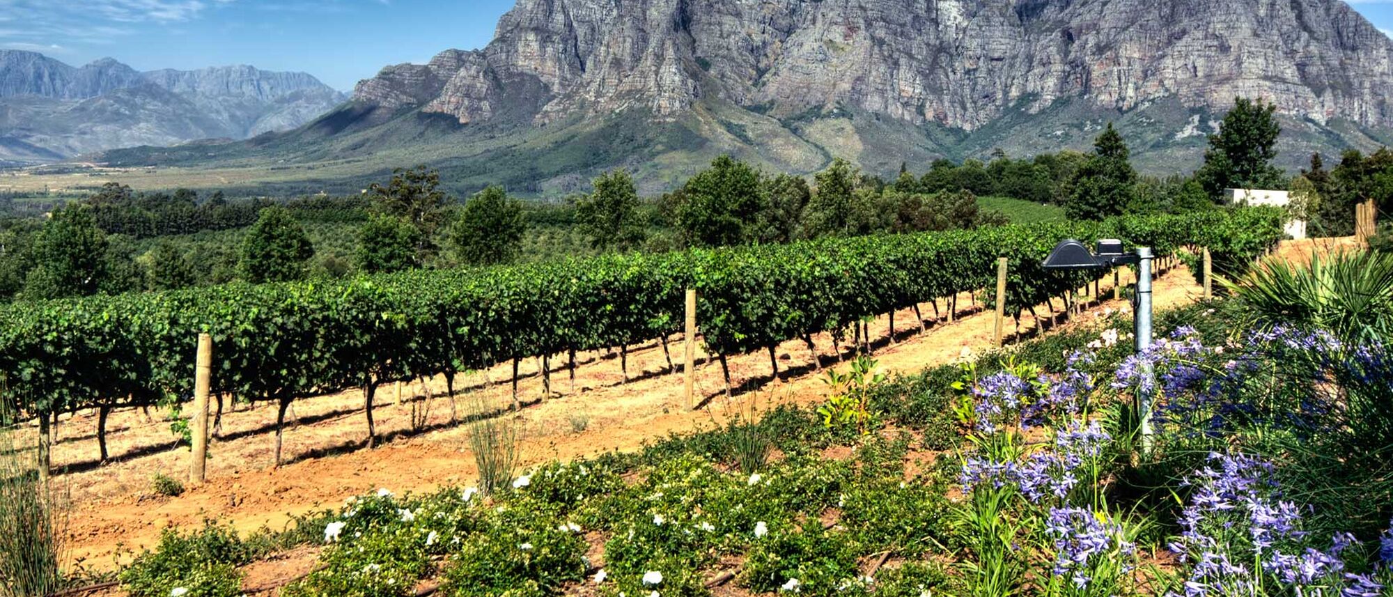 Image Title Image Title