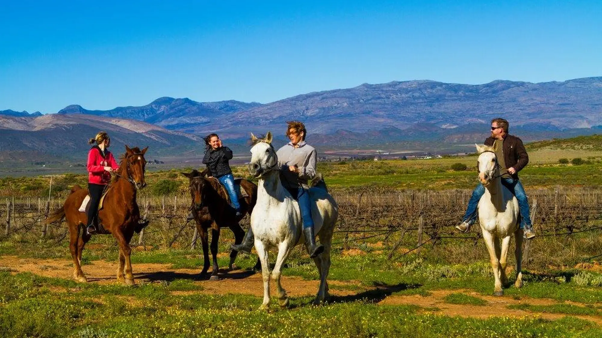 Image Title Image Title