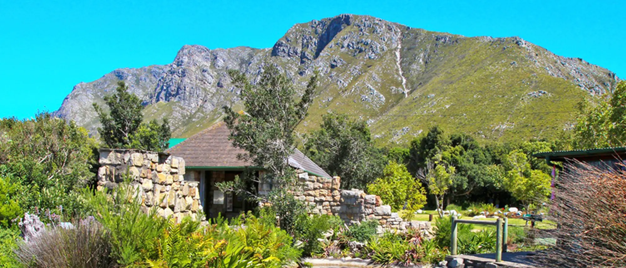 Image Title Image Title