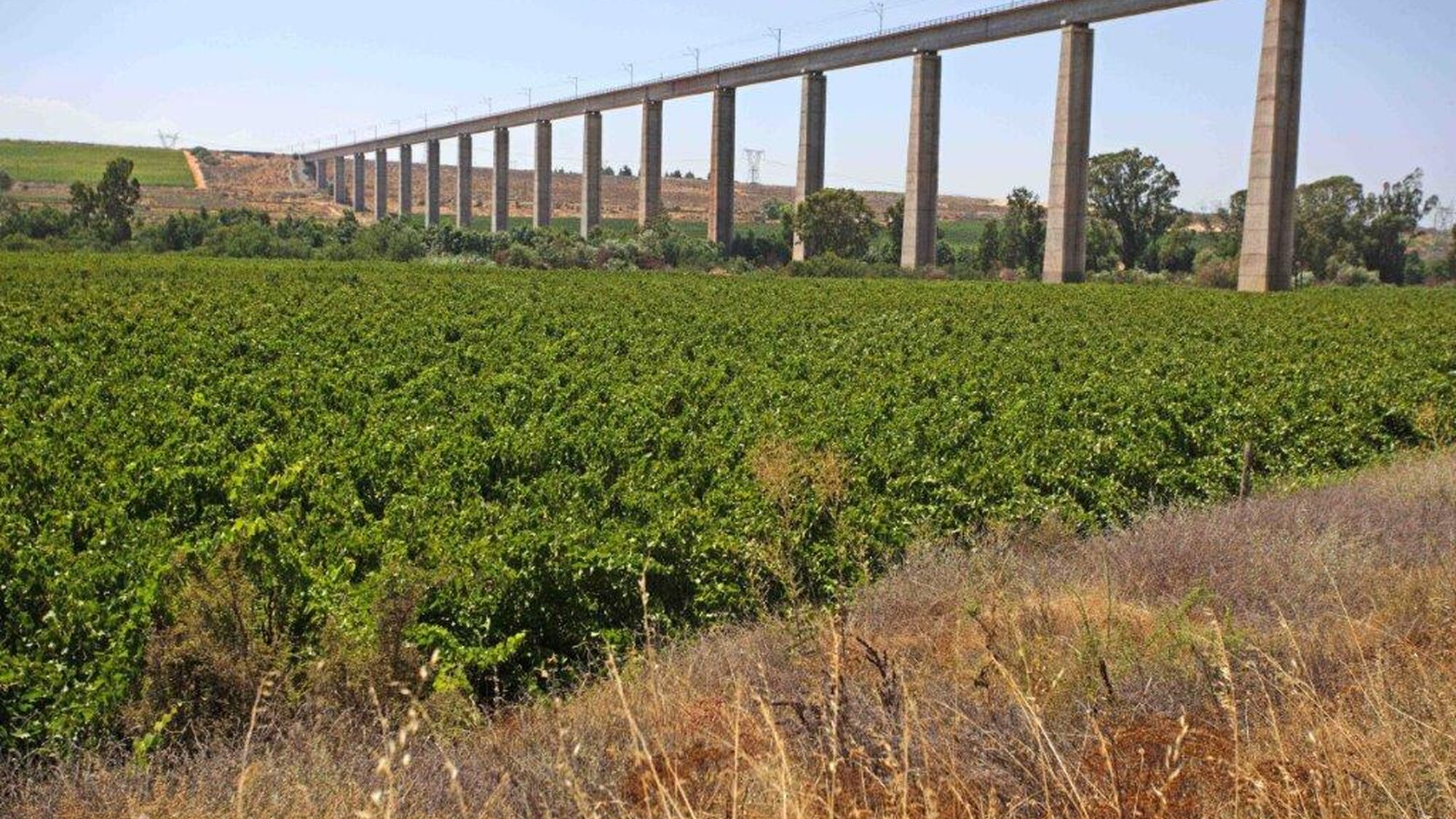 Image Title Image Title