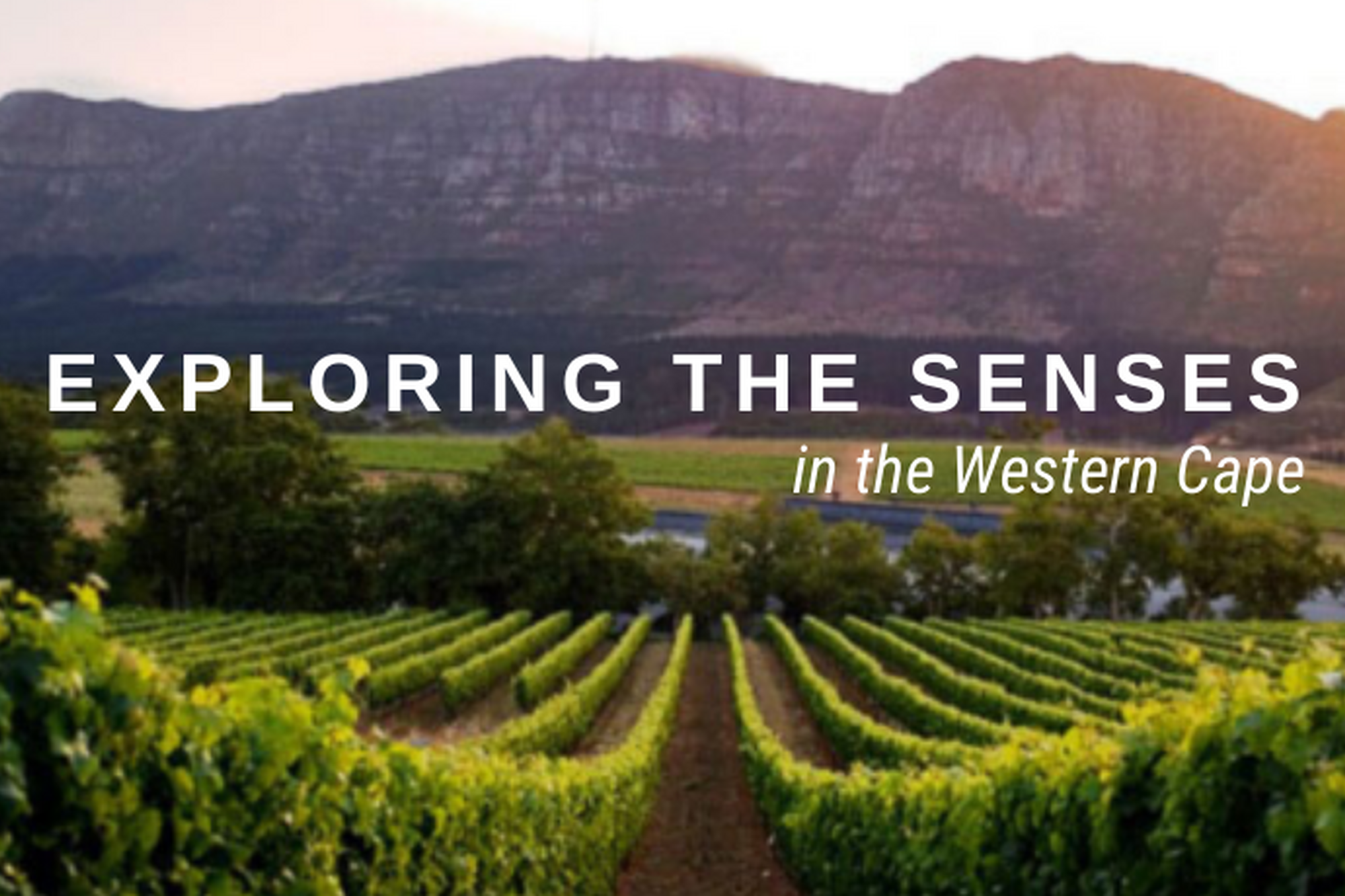 Image Title Image Title