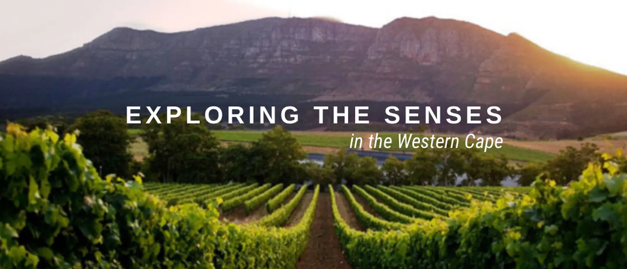 Image Title Image Title