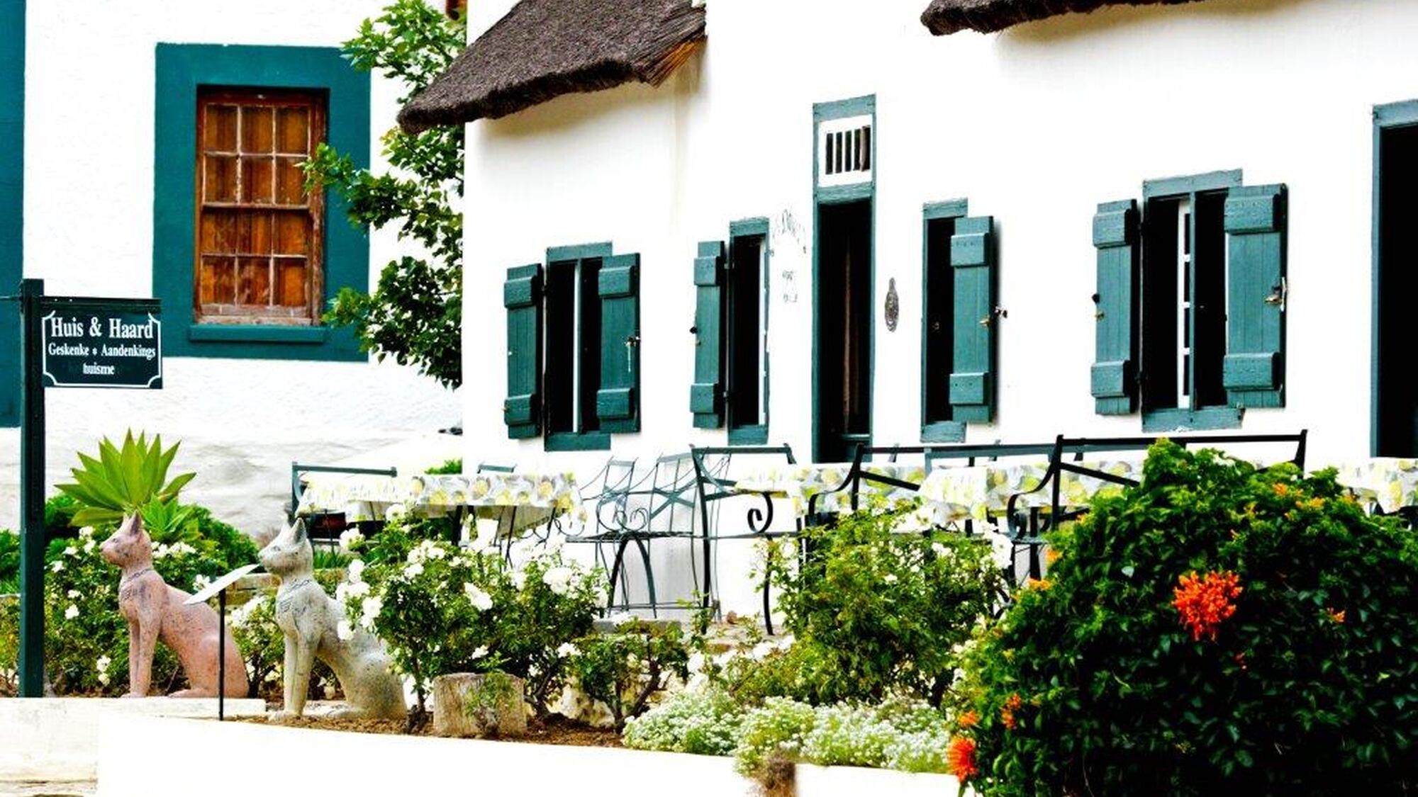 Image Title Image Title