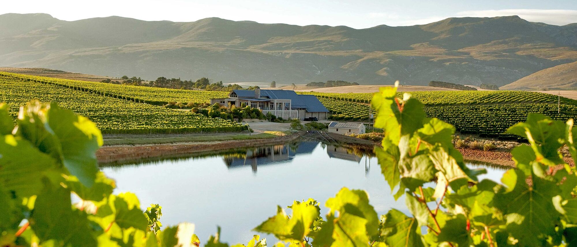 Image Title Image Title