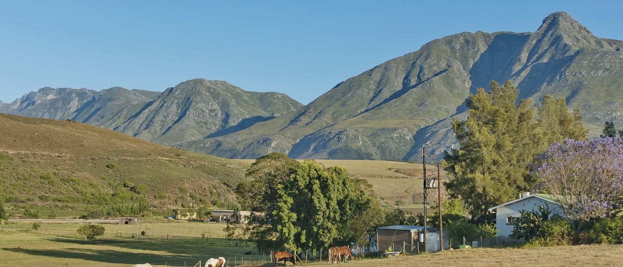 Image Title Image Title