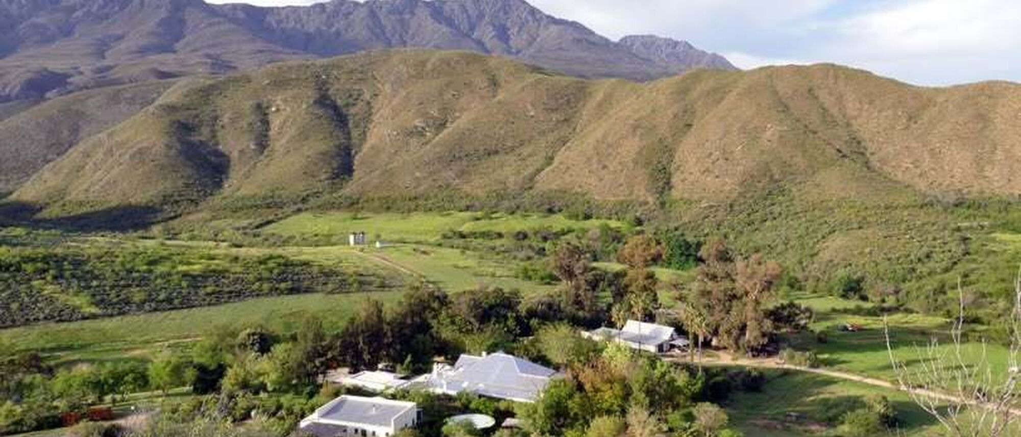 Image Title Image Title