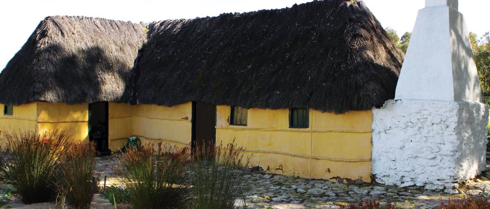 Image Title Image Title