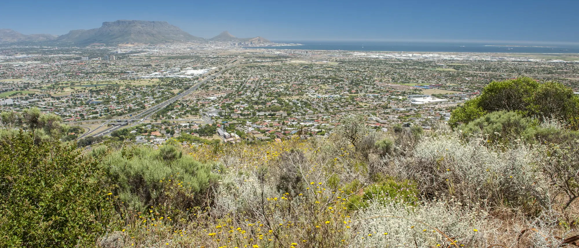 Image Title Image Title