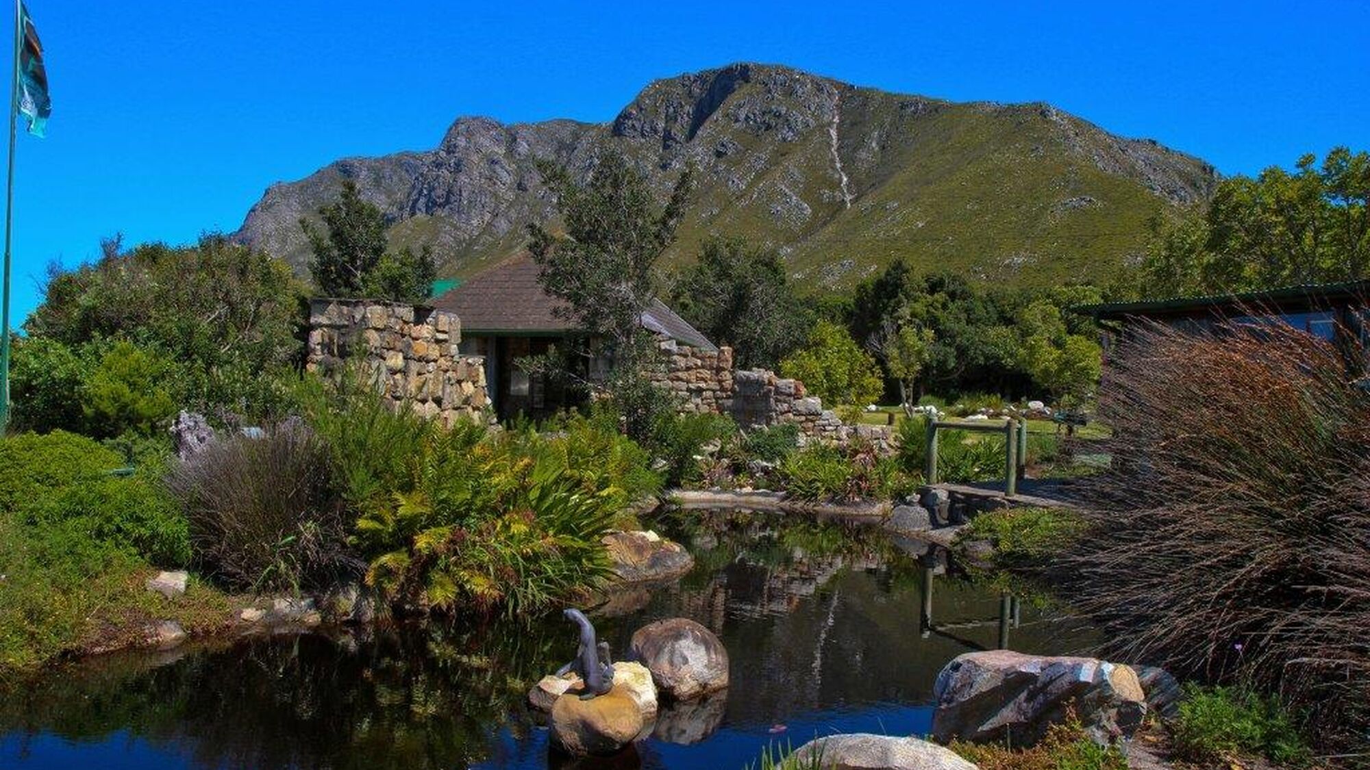 Image Title Image Title