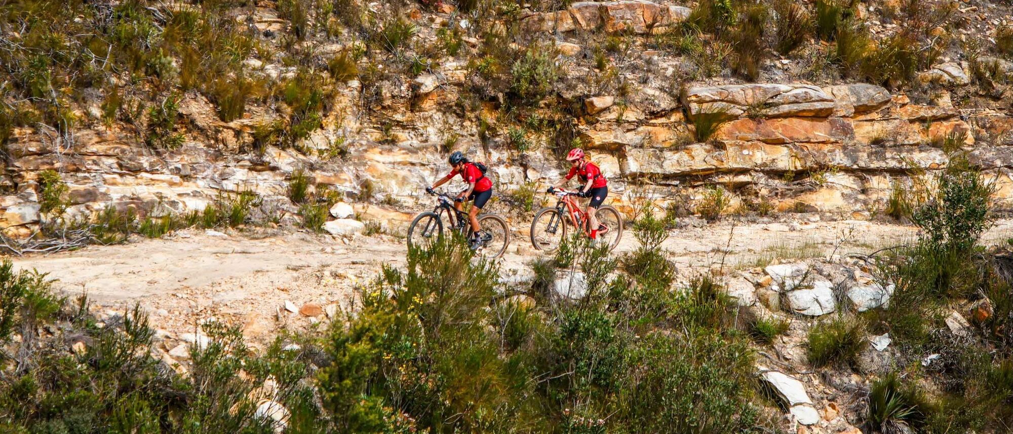 Image Title Image Title