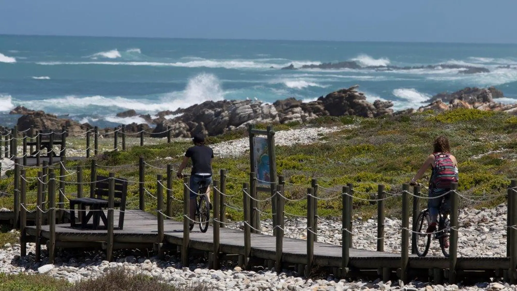 Image Title Image Title