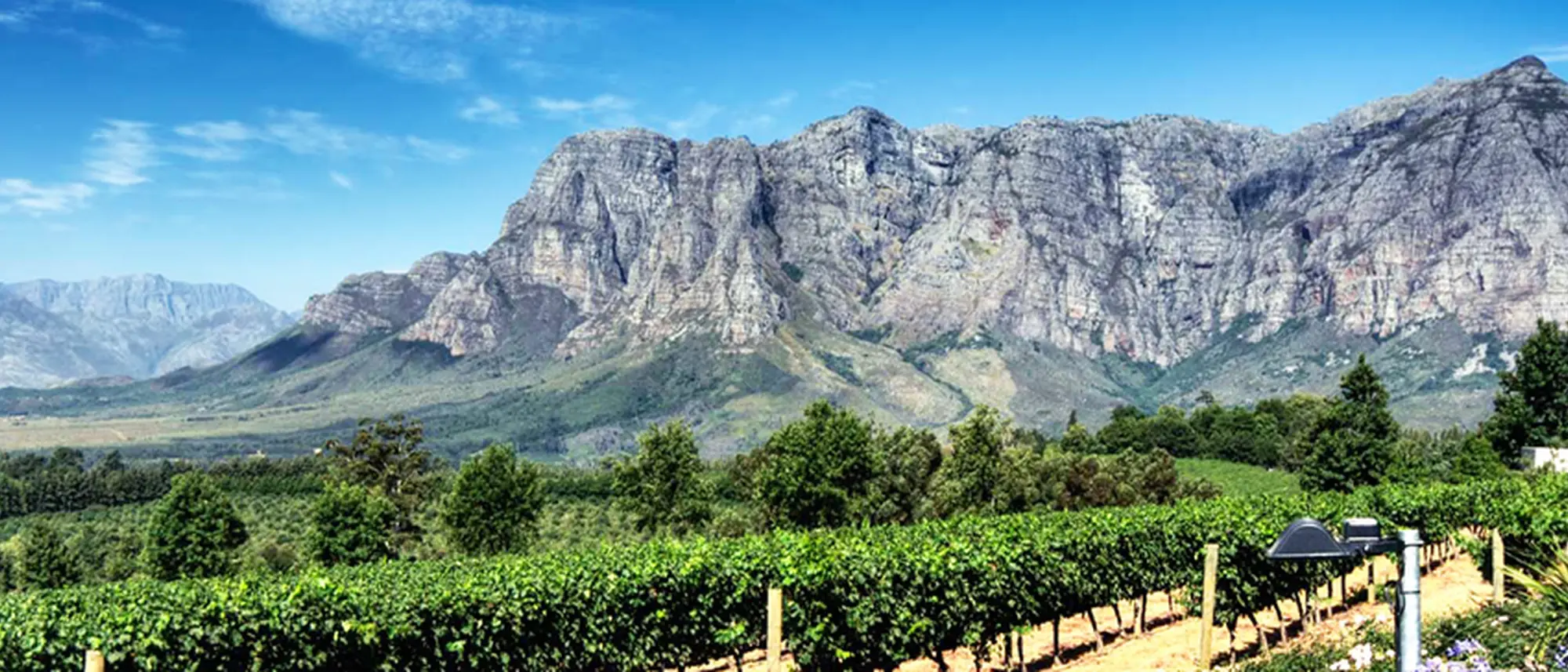 Image Title Image Title