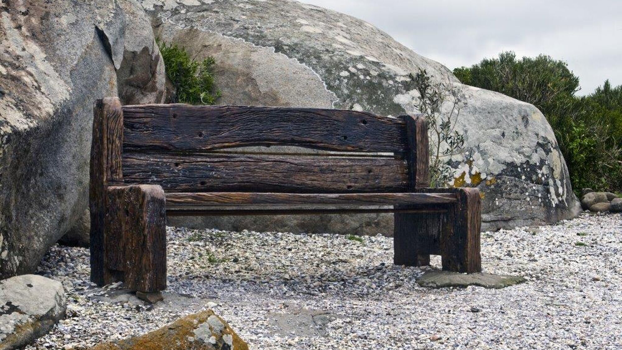 Image Title Image Title