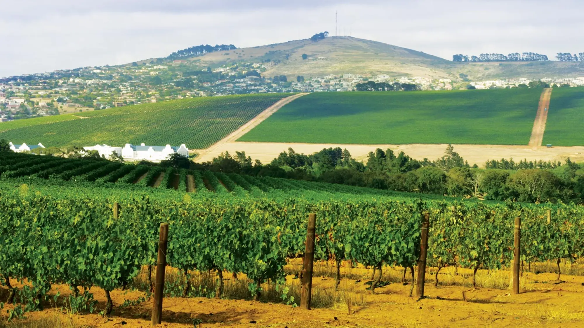 Image Title Image Title