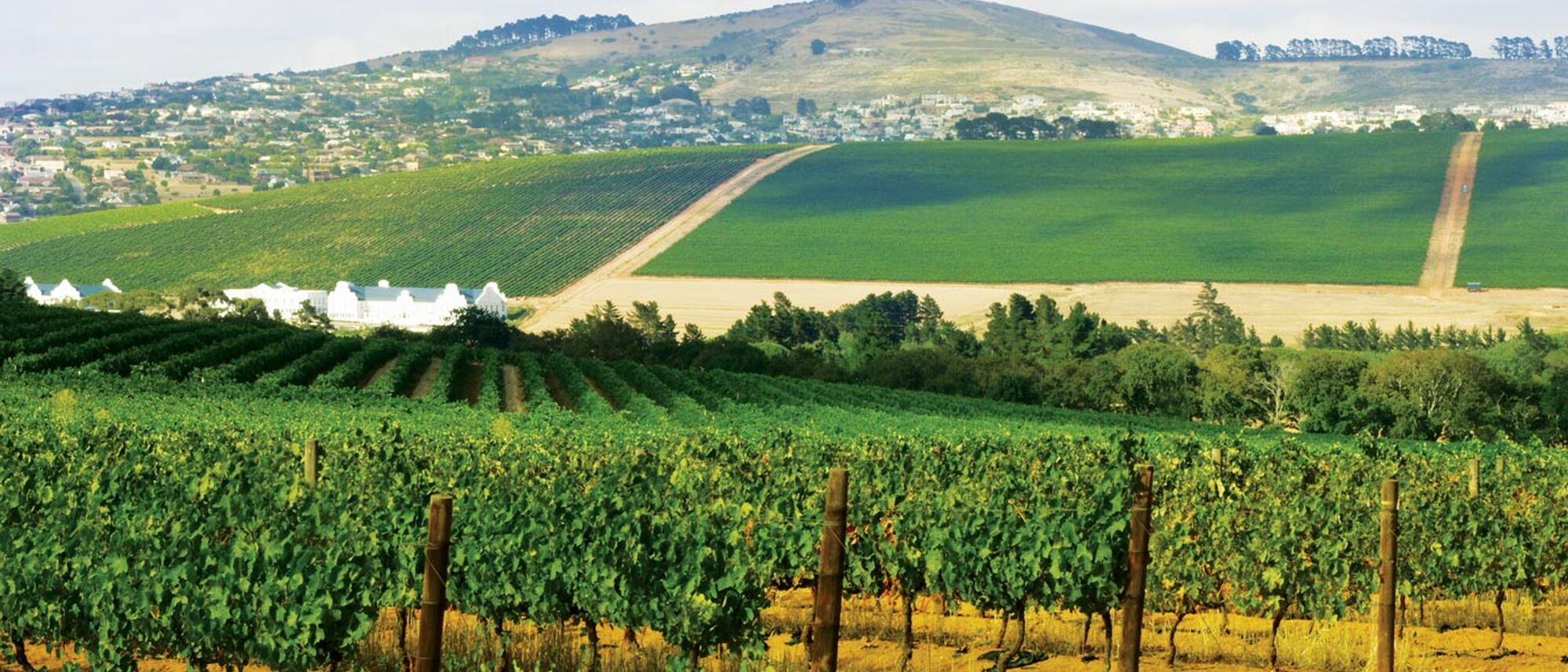 Image Title Image Title