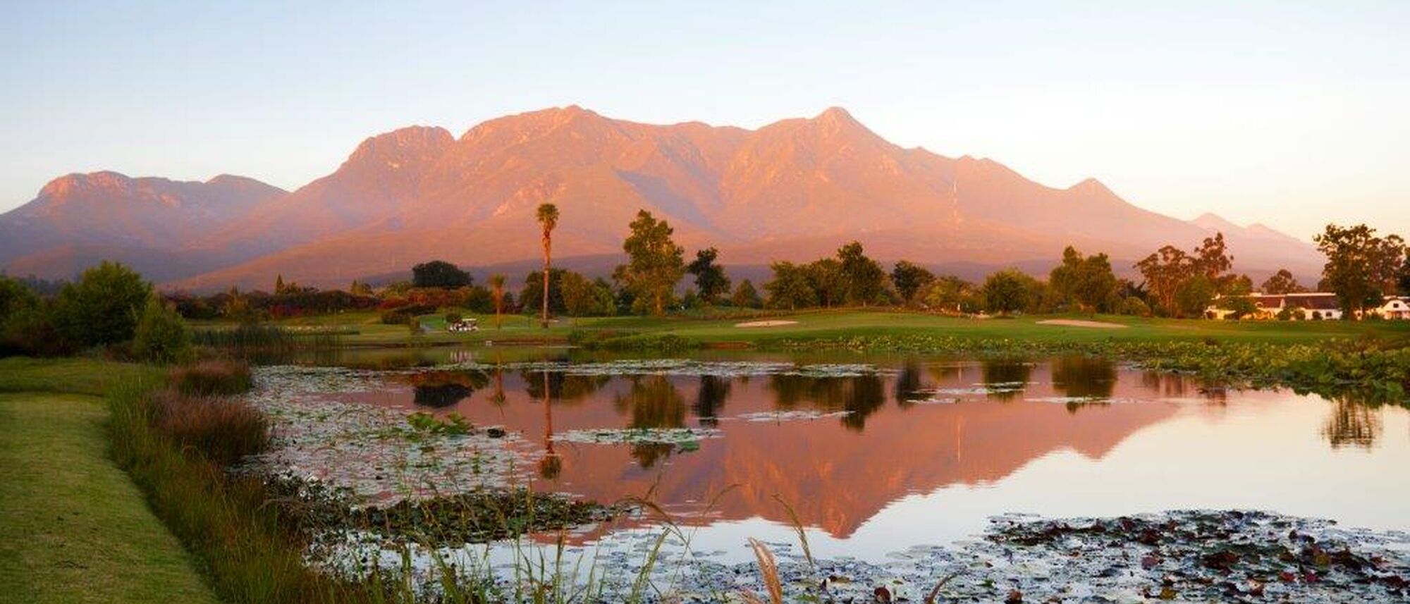 Image Title Image Title